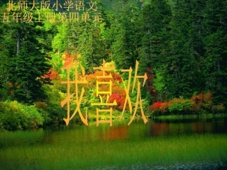 北师大版五年级语文上册《我喜欢》