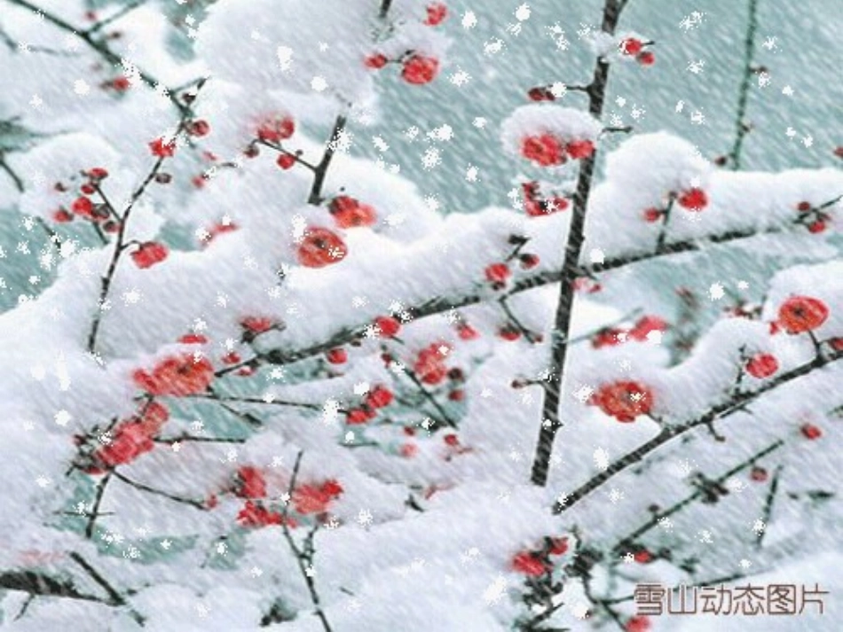 锋与天气新人教版必修_第1页