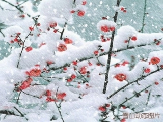 锋与天气新人教版必修