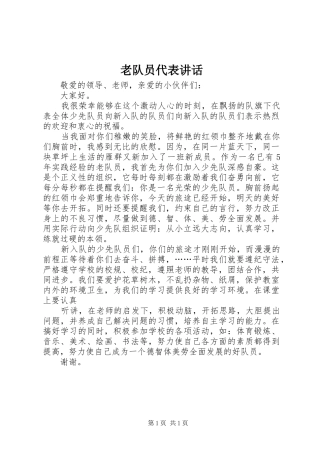 老队员代表讲话发言