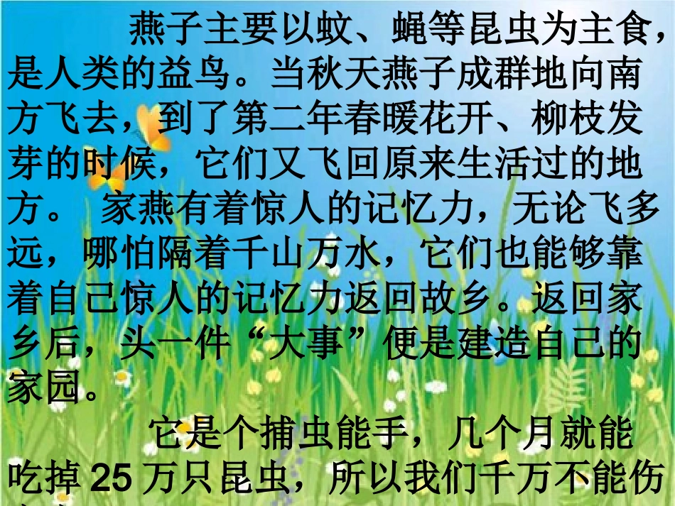 燕子--课件_第2页