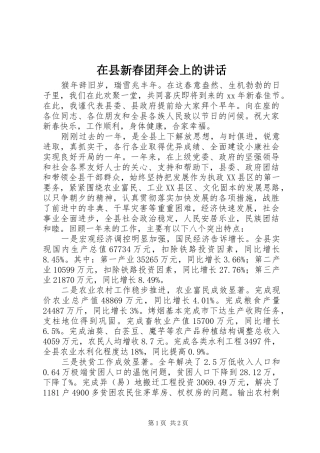 在县新春团拜会上的讲话发言