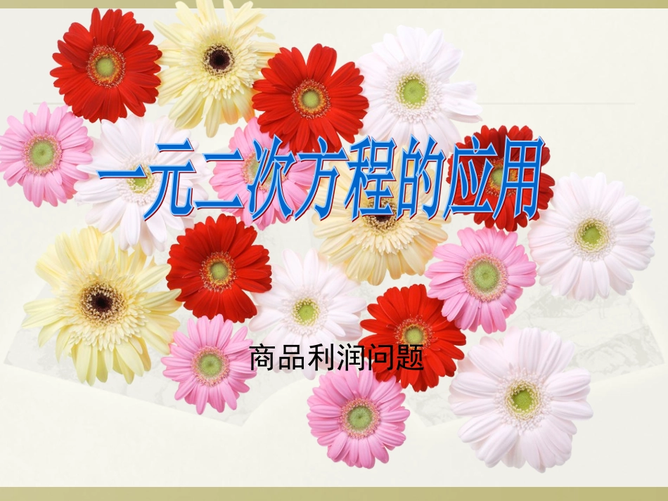 一元二次方程的应用-利润问题_第1页