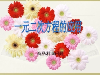 一元二次方程的应用-利润问题