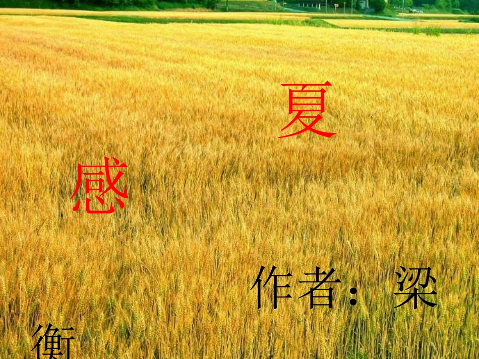 七上　13夏感_第2页