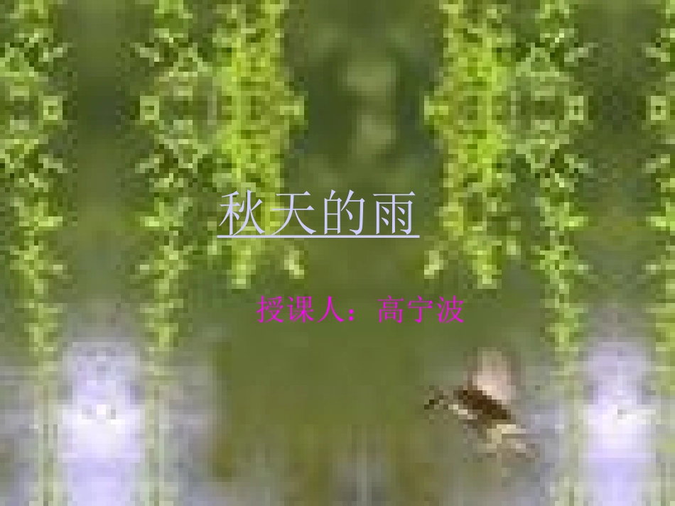 秋天的雨PPT课件_第1页