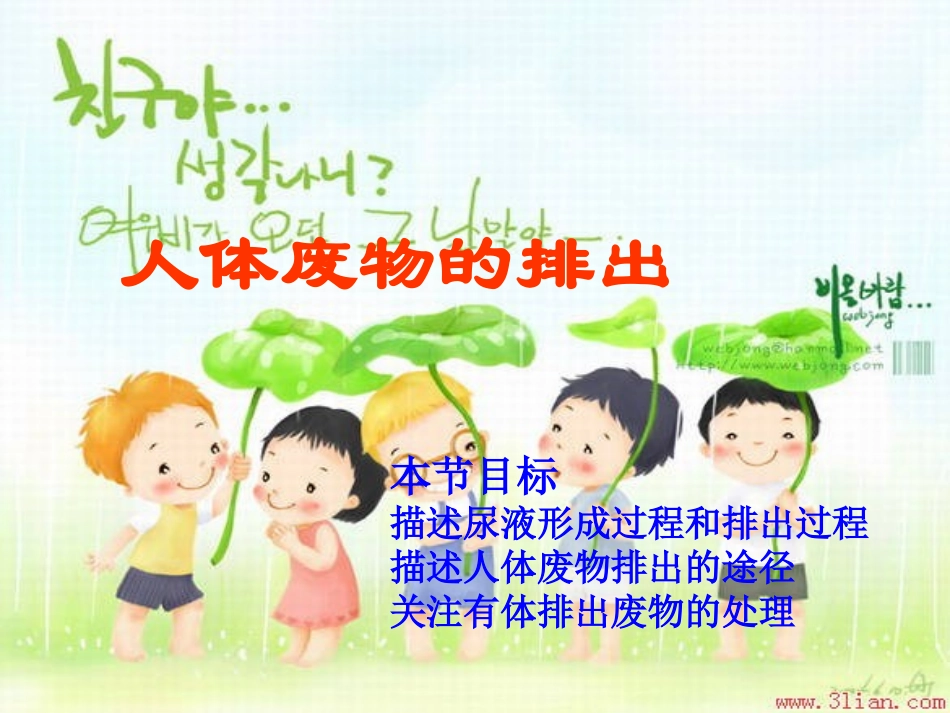 人体废物的排出_第2页