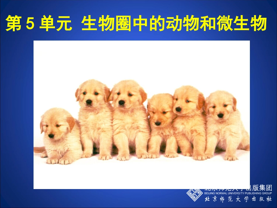 动物的运动方式（第一课时）_第1页