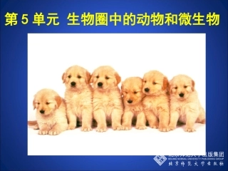 动物的运动方式（第一课时）