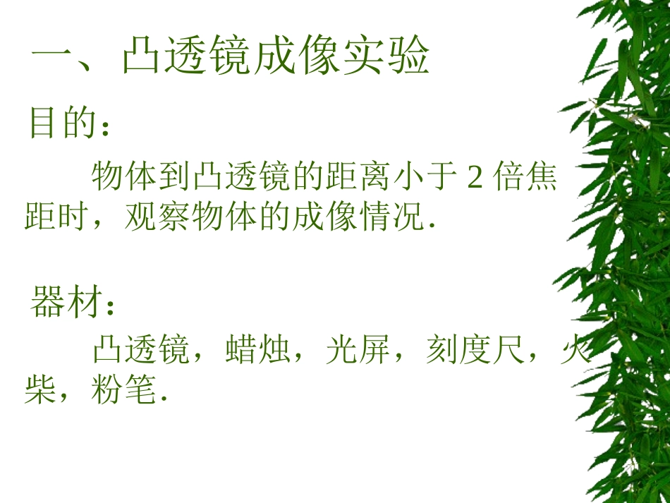 放大镜和幻灯机_第2页