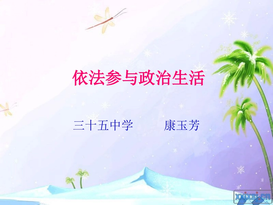 依法参与政治生活 (2)_第1页