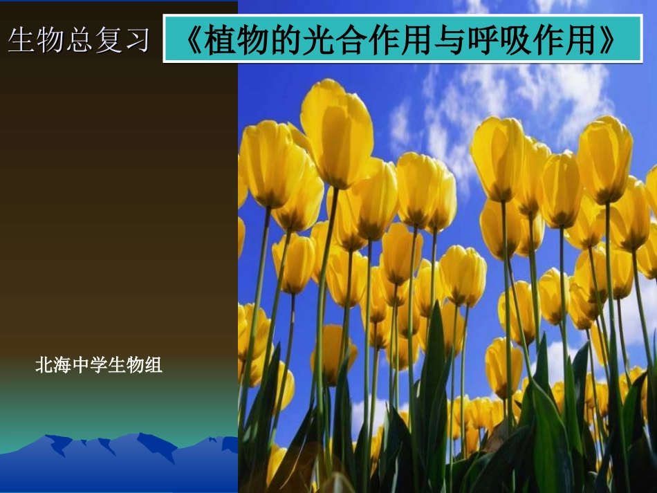 生物复习导学案课件-呼吸作用与光合作用_第1页