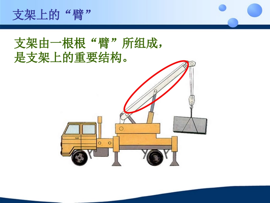 《动物的运动》参考课件2[1]_第3页