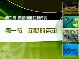 《动物的运动》参考课件2[1]