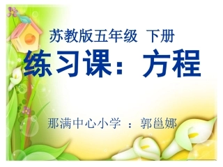 苏教版五年级数学复习课：方程2