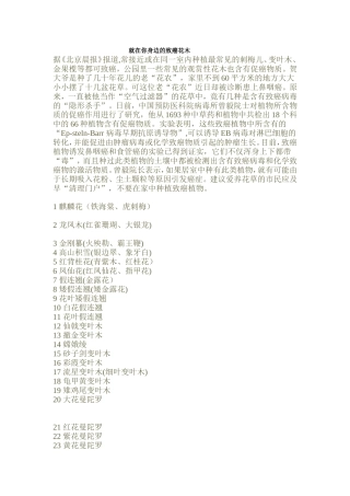 就在你身边的致癌花木