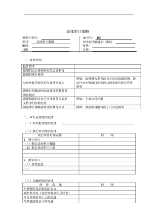 企业总体审计策略表