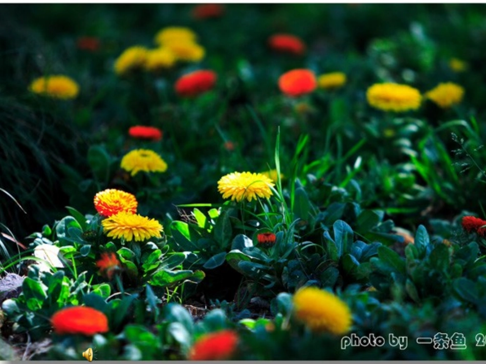 和我们一样享受春天课件_第2页