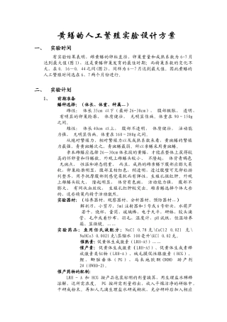 黄鳝人工繁殖