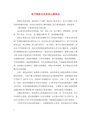 电子商务专业实训心得体会 