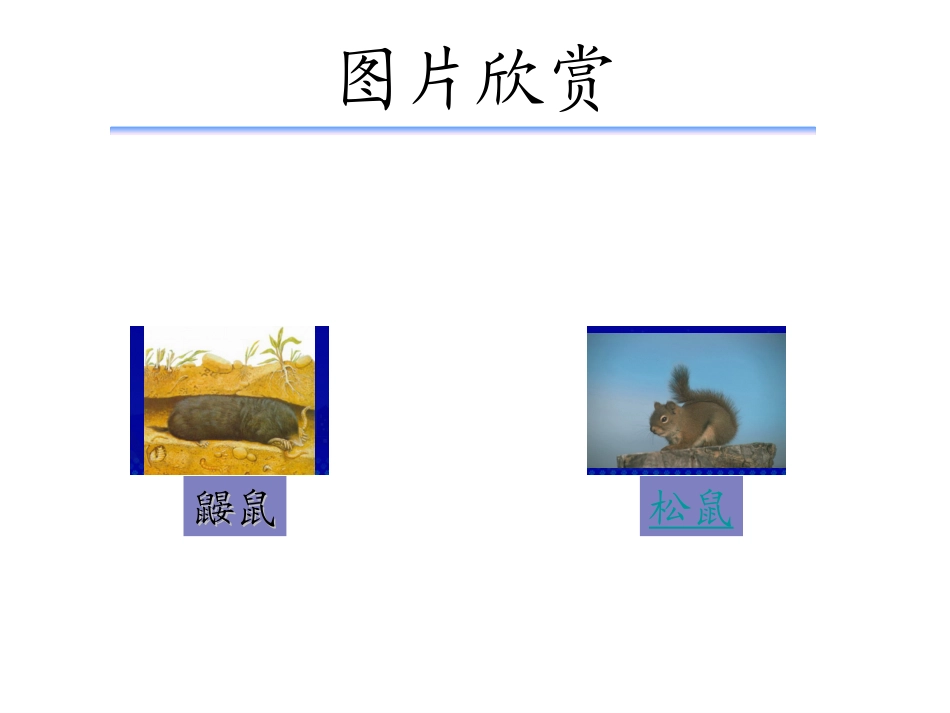 小松鼠找花生 (2)_第3页