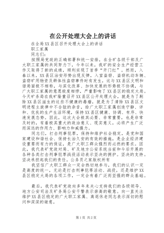 在公开处理大会上的讲话发言