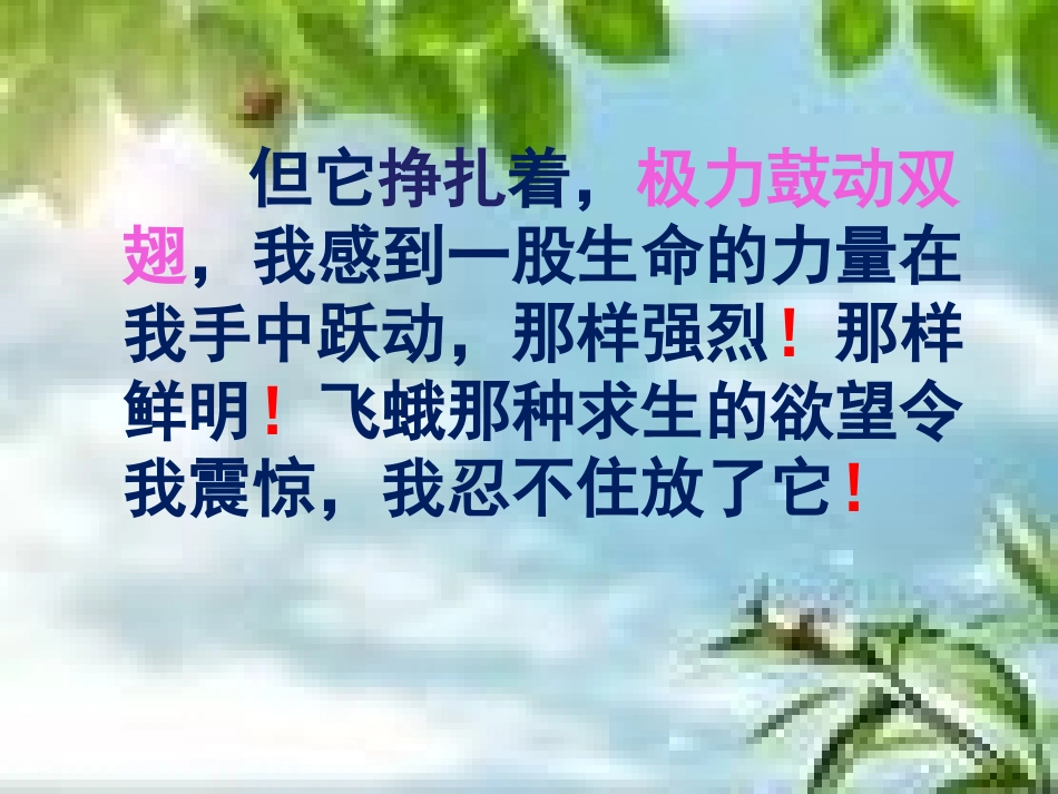 《生命生命》课件_第3页