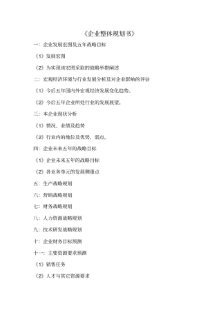 企业整体规划书