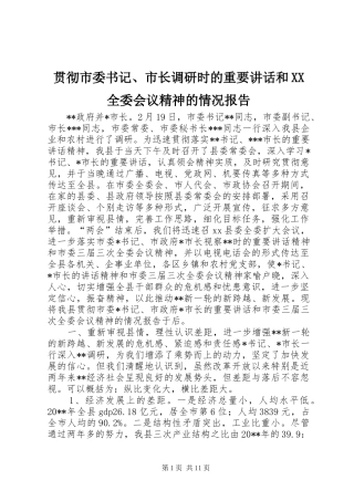 贯彻市委书记、市长调研时的重要讲话发言和XX全委会议精神的情况报告