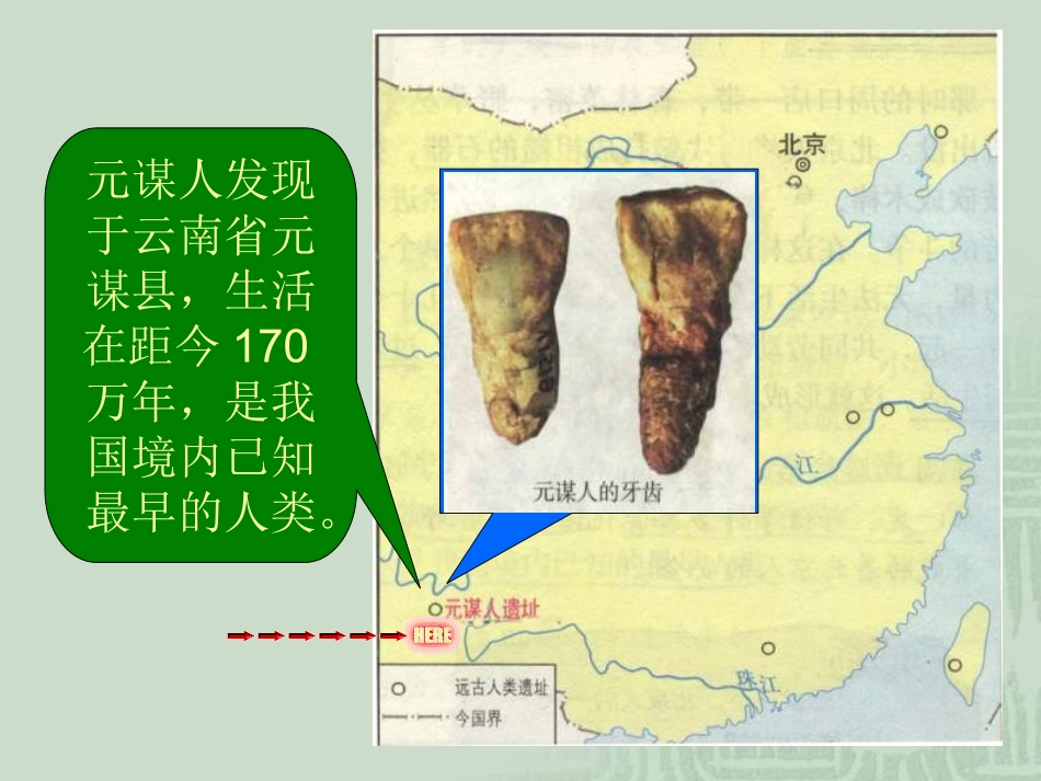 七年级历史祖国境内的原始人类_第3页