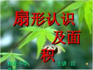 扇形的认识 (2)
