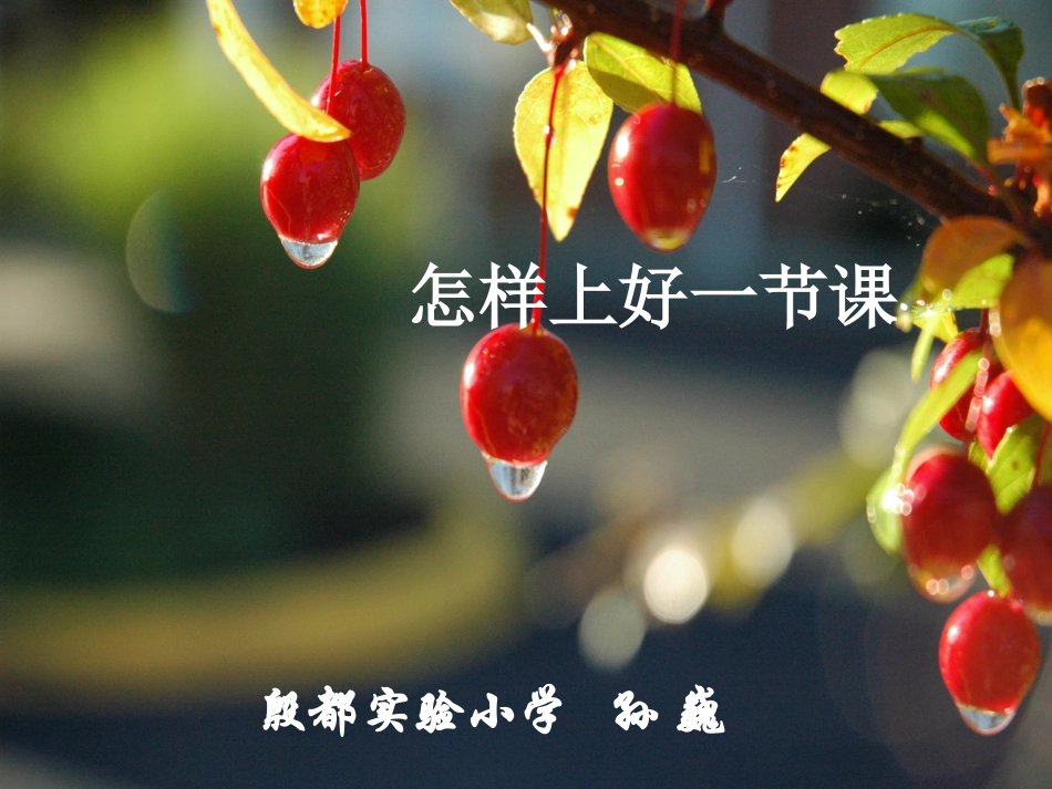 怎样上好一节课_第1页