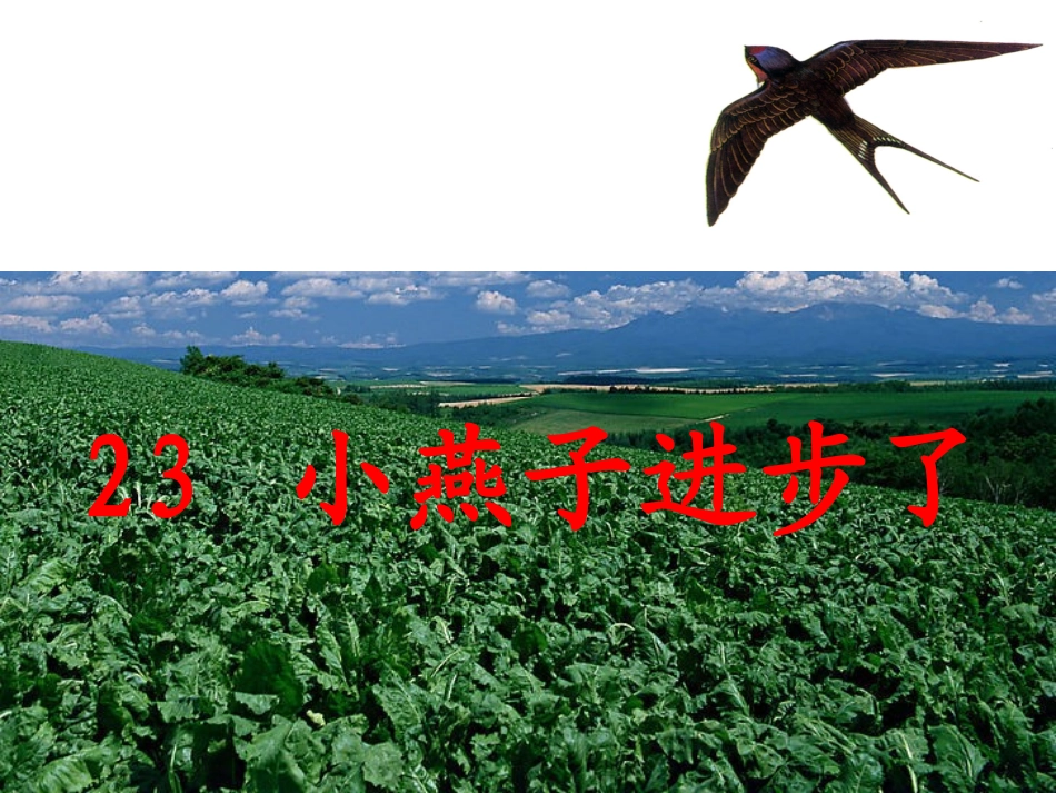 小燕子进步了_第3页