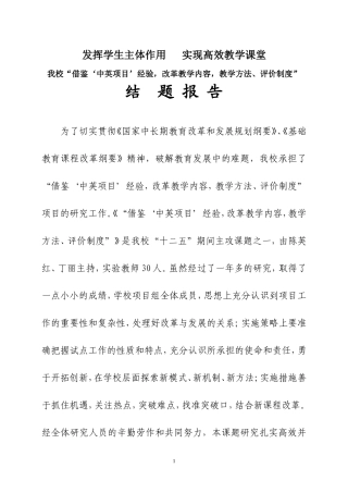 中英项目结题报告