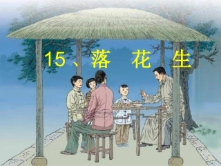 《落花生》课件4