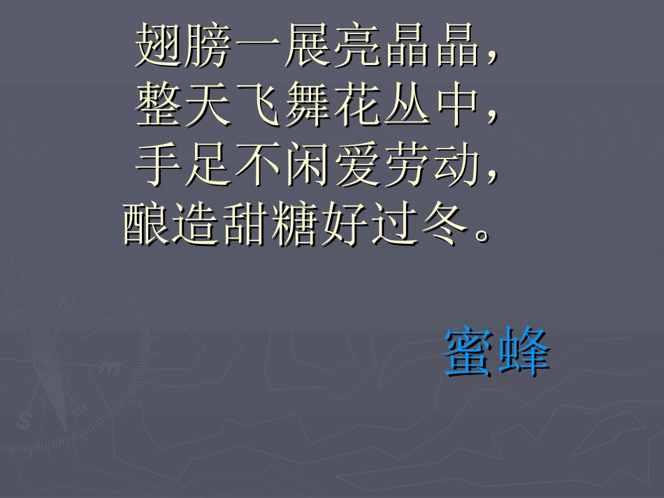 《小蜜蜂》课件1_第1页
