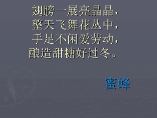 《小蜜蜂》课件1