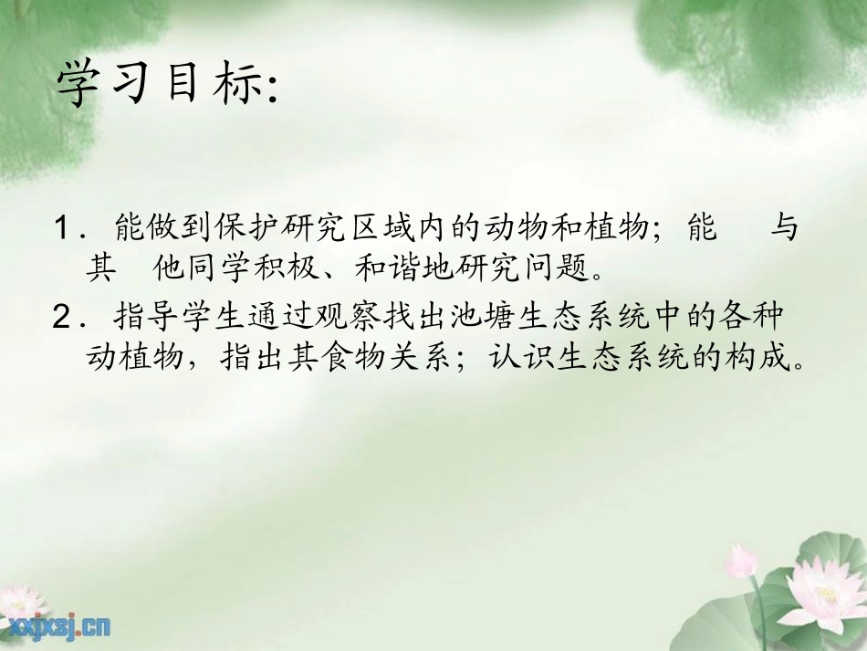 小池塘大世界_第2页