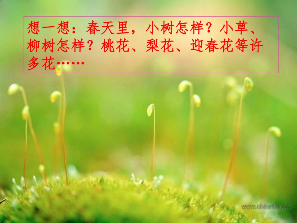 《找春天》课件【15页】_第3页