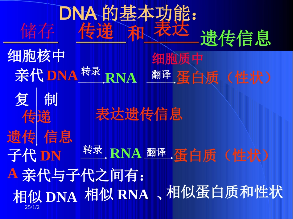 遗传专题[2]_第3页