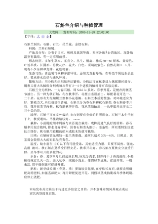 铁皮石斛兰花介绍与种植管理