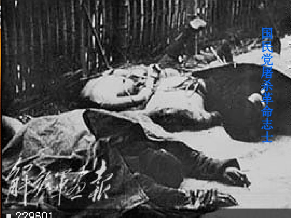 八上历史-第三单元第12课星星之火，可以燎原-王勇_第3页