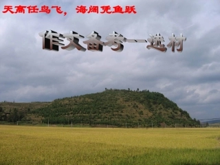 作文备考--选材课件