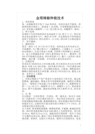 金塔辣椒种植技术