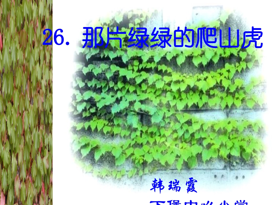 新课标人教版第七册语文那片绿绿的爬山虎优质课件下载3_第1页