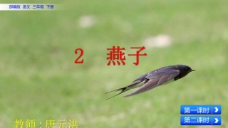 三年级语文《燕子》ppt