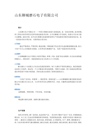 山东聊城磨石电子简介
