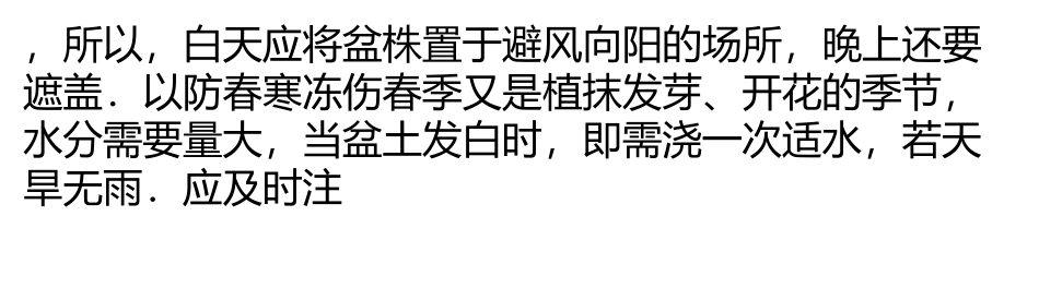 银杏树树桩盆景四季管理栽培要领_第2页
