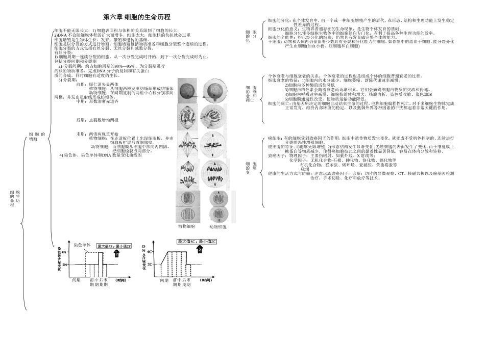 生物必修一提纲2_第2页