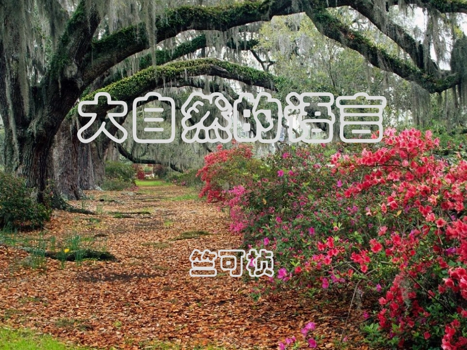 《大自然的语言》课件1_第1页